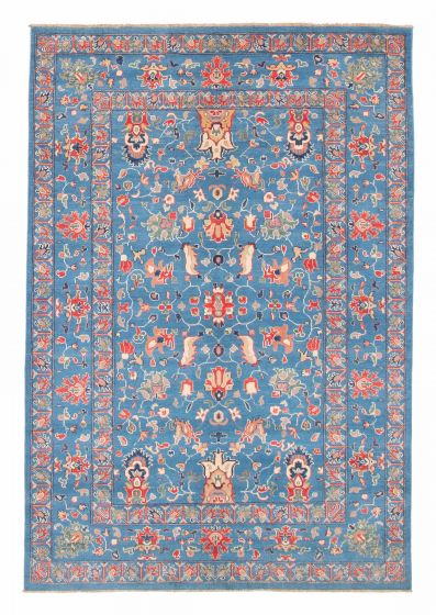 Bordered  Transitional Blue Area rug 6x9 Afghan Hand-knotted 381864
