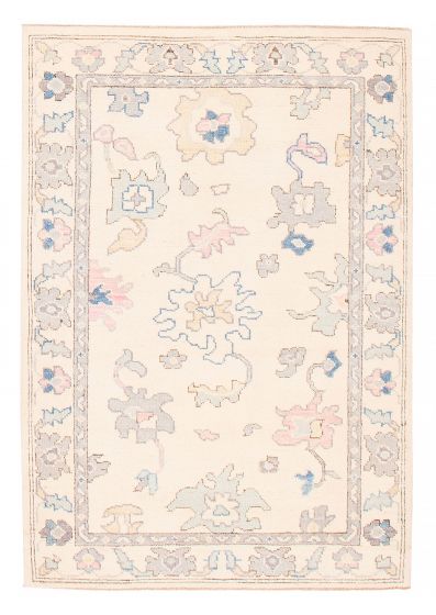 Bordered  Transitional Ivory Area rug 3x5 Pakistani Hand-knotted 382193
