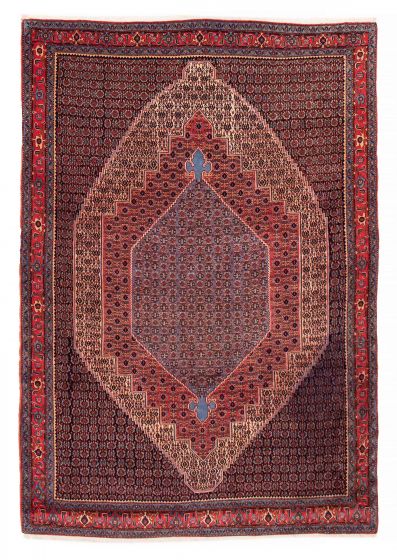 Bordered  Traditional Blue Area rug 6x9 Persian Hand-knotted 385755