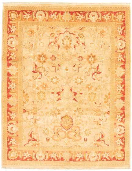 Bordered  Traditional Ivory Area rug 6x9 Pakistani Hand-knotted 336602