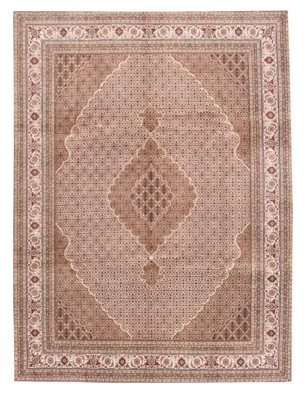 Bordered  Traditional Ivory Area rug 9x12 Indian Hand-knotted 374394