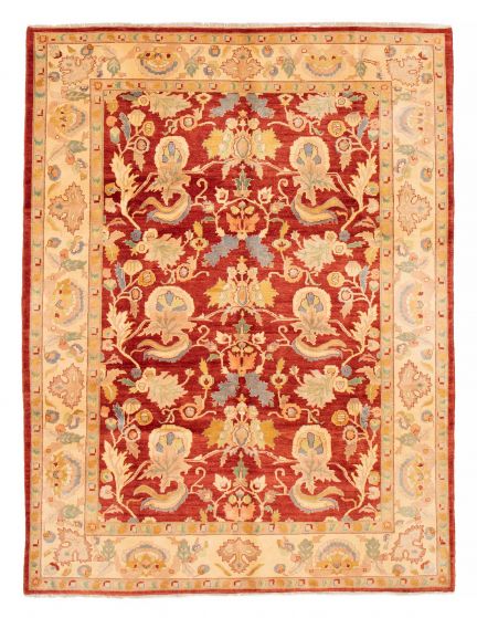 Bordered  Traditional Red Area rug 8x10 Afghan Hand-knotted 378722