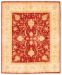 Bordered  Traditional Red Area rug 6x9 Afghan Hand-knotted 346322