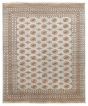Bordered  Traditional Grey Area rug 6x9 Pakistani Hand-knotted 363211