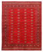 Bordered  Traditional Red Area rug 6x9 Pakistani Hand-knotted 363286