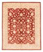 Bordered  Traditional Red Area rug 6x9 Afghan Hand-knotted 379105