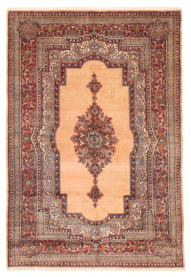Bordered  Traditional Brown Area rug 6x9 Turkish Hand-knotted 373298