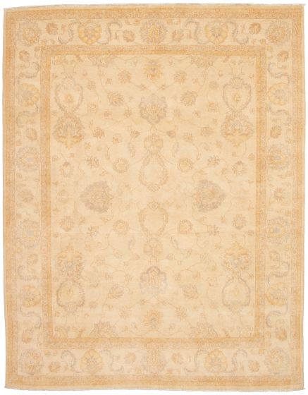 Bordered  Traditional Ivory Area rug 6x9 Pakistani Hand-knotted 330603