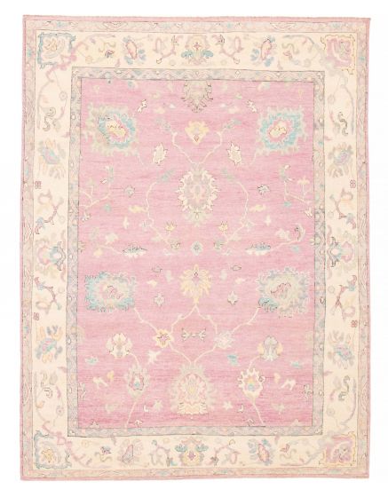 Bordered  Transitional Purple Area rug 6x9 Pakistani Hand-knotted 381783