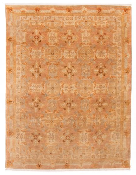 Bordered  Transitional Brown Area rug 6x9 Indian Hand-knotted 387050