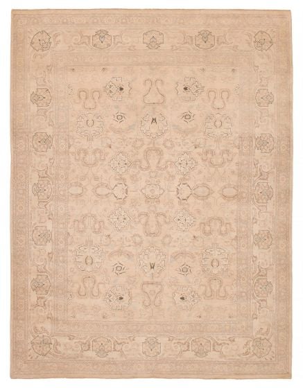 Traditional  Transitional Ivory Area rug 9x12 Pakistani Hand-knotted 392387