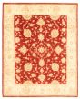 Bordered  Traditional Red Area rug 6x9 Afghan Hand-knotted 346769