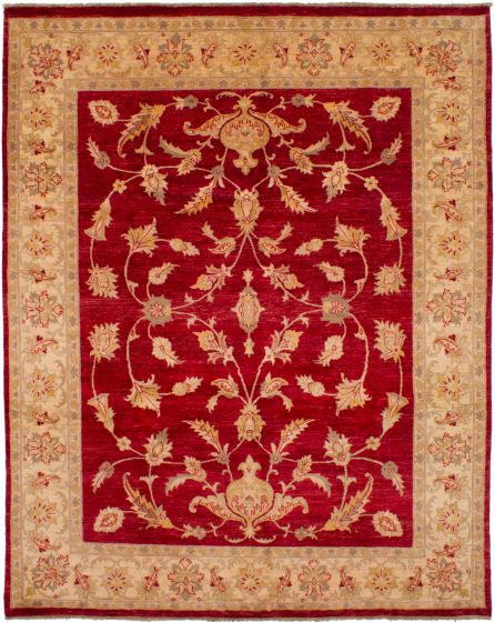 Bordered  Traditional Red Area rug 6x9 Afghan Hand-knotted 268761