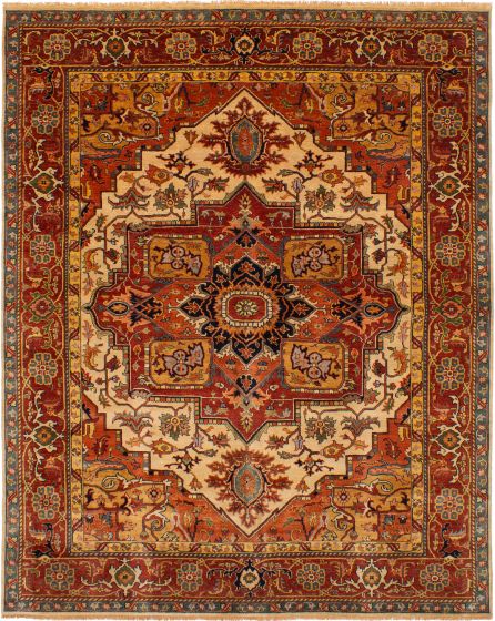 Bordered  Traditional Brown Area rug 6x9 Indian Hand-knotted 271547