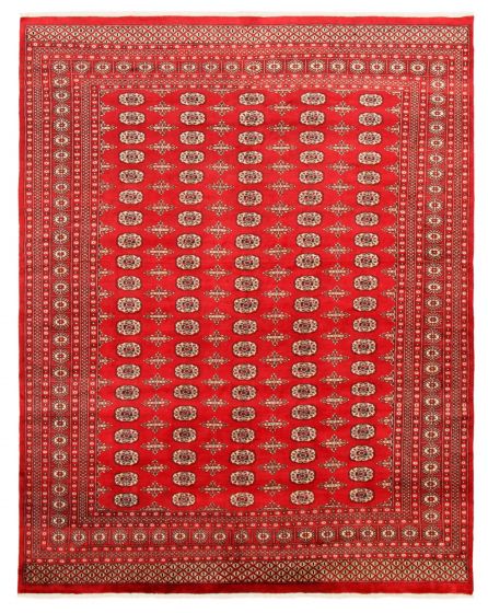 Bordered  Traditional Red Area rug 6x9 Pakistani Hand-knotted 363297
