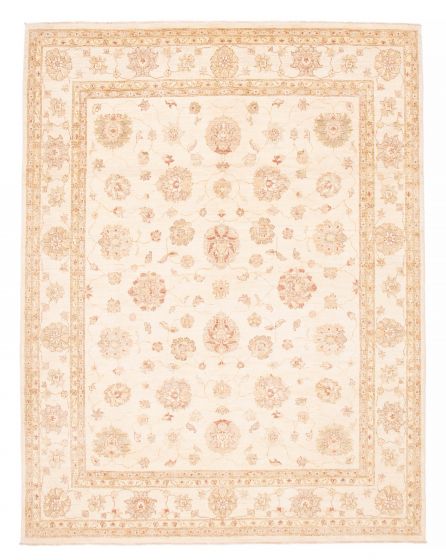 Bordered  Traditional Ivory Area rug 6x9 Pakistani Hand-knotted 379413
