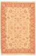 Bordered  Traditional Ivory Area rug 6x9 Pakistani Flat-weave 335197
