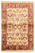 Bordered  Traditional Ivory Area rug 3x5 Indian Hand-knotted 335605
