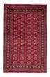 Bordered  Tribal Red Area rug 5x8 Pakistani Hand-knotted 382020