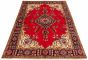 Bordered  Traditional Red Area rug 6x9 Persian Hand-knotted 323021