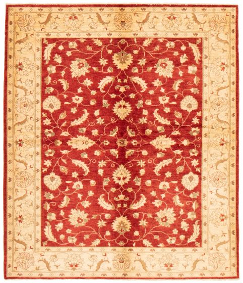 Bordered  Traditional Red Area rug 6x9 Pakistani Hand-knotted 362545