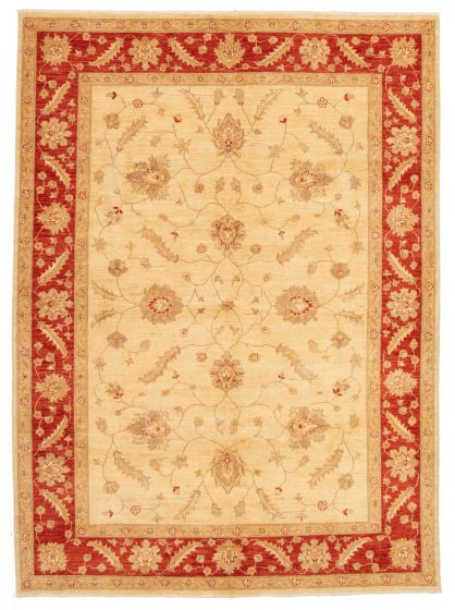 Bordered  Traditional Ivory