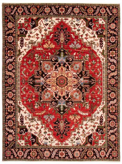 Bordered  Traditional Red Area rug 10x14 Afghan Hand-knotted 388122
