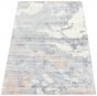 Casual  Transitional Blue Area rug 5x8 Indian Hand-knotted 307871