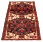 Persian Style 3'5" x 6'11" Hand-knotted Wool Rug 