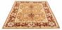 Bordered  Traditional Brown Area rug 6x9 Afghan Hand-knotted 318091
