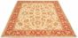Bordered  Traditional Ivory Area rug 6x9 Afghan Hand-knotted 318547