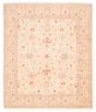 Bordered  Traditional Ivory Area rug 6x9 Afghan Hand-knotted 374349