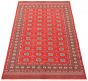 Bordered  Tribal Red Area rug 5x8 Pakistani Hand-knotted 305749