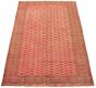 Bordered  Tribal Brown Area rug 5x8 Russia Hand-knotted 320266