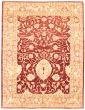 Bordered  Traditional Red Area rug 9x12 Afghan Hand-knotted 335231