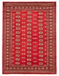 Bordered  Traditional Red Area rug 5x8 Pakistani Hand-knotted 364248