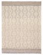 Braided  Transitional Ivory Area rug 4x6 Indian Braid weave 394148