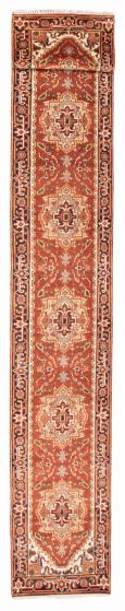 Bordered  Traditional Brown Runner rug 20-ft-runner Indian Hand-knotted 377287