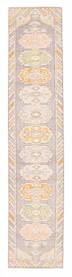 Bordered  Transitional Grey Runner rug 13-ft-runner Pakistani Hand-knotted 381969