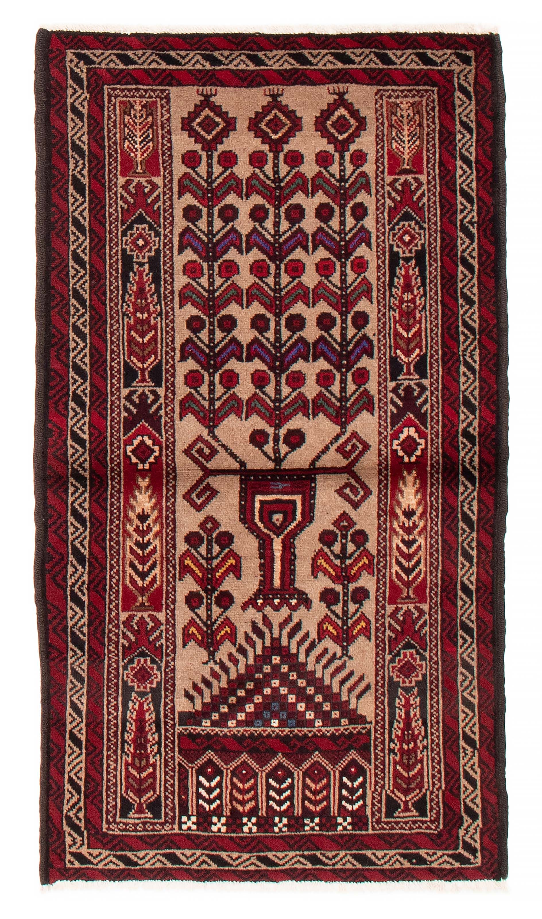 Afghan Royal Baluch 3'1