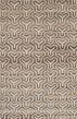 Transitional Ivory Area rug 5x8 Indian Hand-knotted 222100