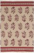 Transitional Ivory Area rug 5x8 Turkish Flat-weave 228419