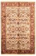 Bordered  Traditional Ivory Area rug 5x8 Indian Hand-knotted 335491