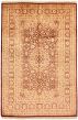 Bordered  Traditional Red Area rug 6x9 Pakistani Hand-knotted 336513