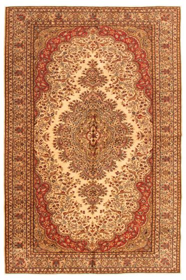 Bordered  Traditional Ivory Area rug 6x9 Turkish Hand-knotted 347722