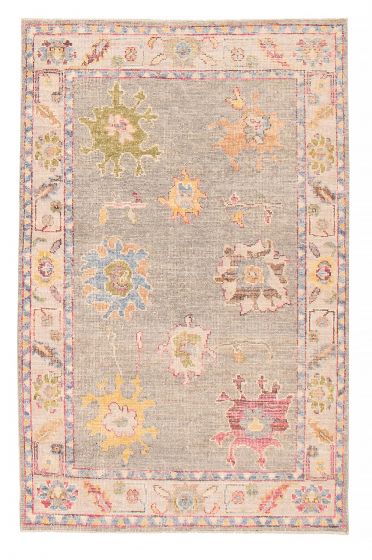 Bordered  Transitional Grey Area rug 3x5 Pakistani Hand-knotted 382194
