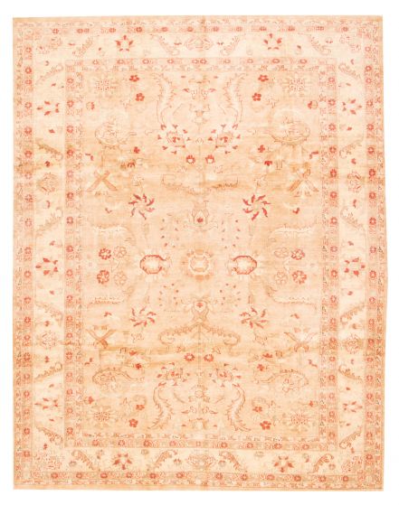 Bordered  Traditional Brown Area rug 8x10 Afghan Hand-knotted 374403