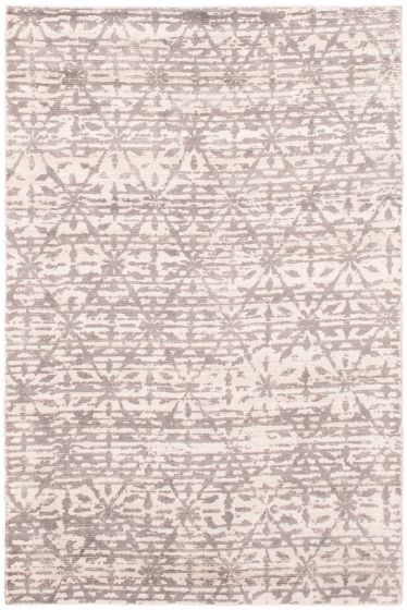 Casual  Transitional Grey Area rug 4x6 Indian Hand-knotted 307790