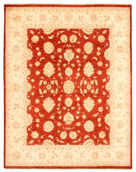 Bordered  Traditional Brown Area rug 6x9 Afghan Hand-knotted 346149