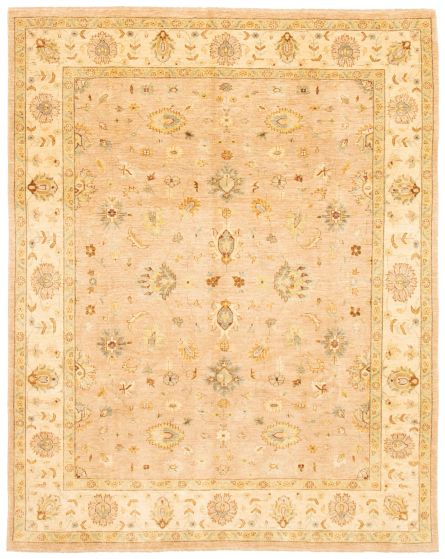 Bordered  Traditional Brown Area rug 6x9 Pakistani Hand-knotted 362899